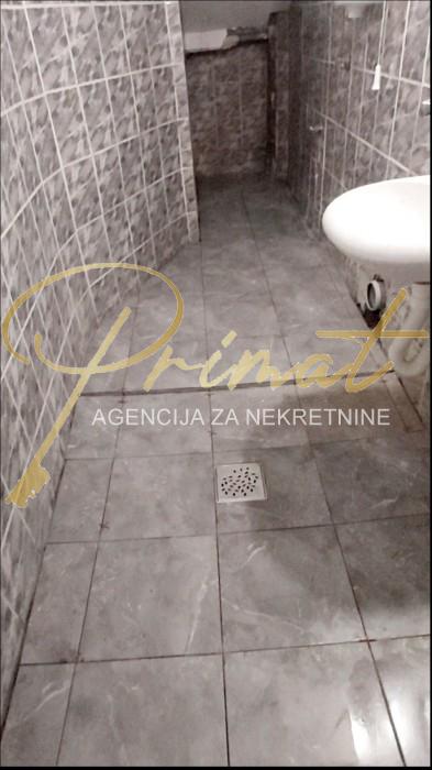 Stan u Padinskoj skeli